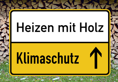 Kann Holz die fossilen Brennstoffe ersetzen?